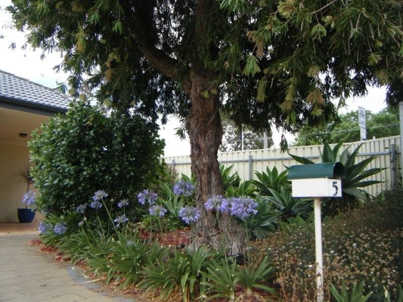 3 Yerong Street, Seacombe Gardens SA 5047