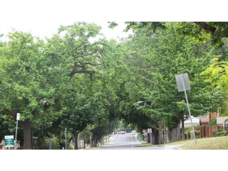 4/109 Golf Links Road, Berwick VIC 3806