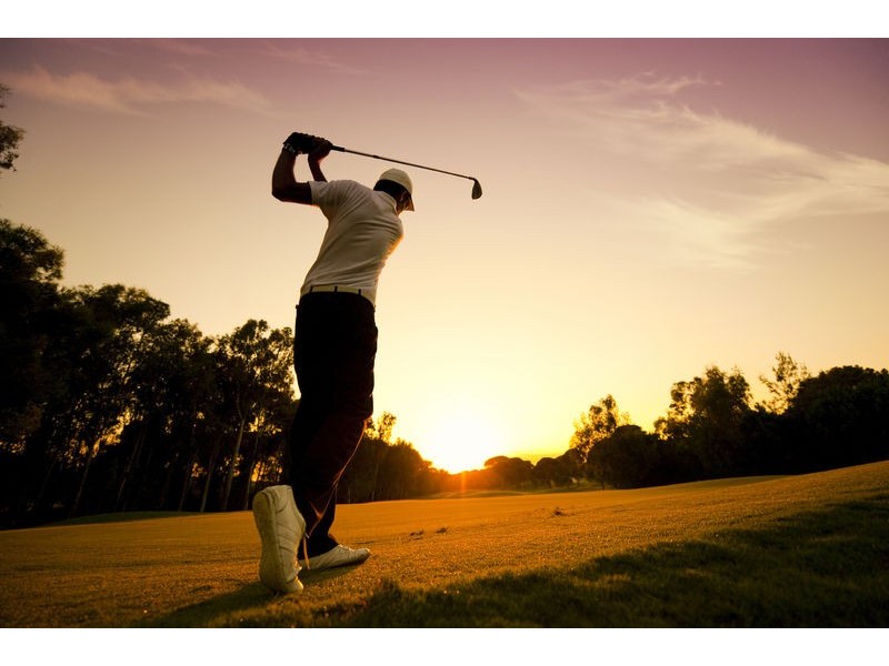 16 Snowdrop Drive, Keysborough VIC 3173