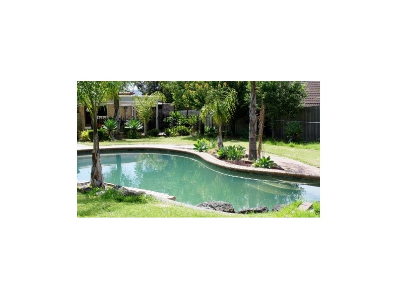 37- Stamford Street, Rowville VIC 3178