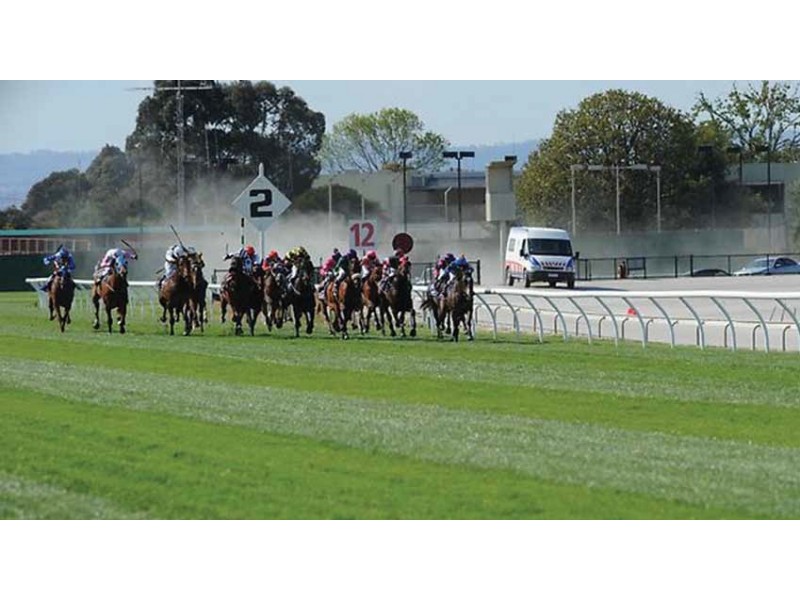 Cranbourne VIC 3977