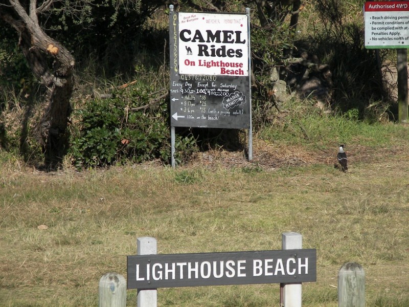 161 Matthew Flinders Drive, Port Macquarie NSW 2444