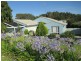 3 Spindrift Row, Port Macquarie NSW 2444