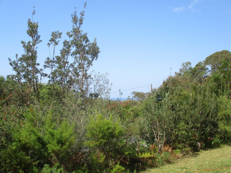 4 Livingstone Road, Port Macquarie NSW 2444