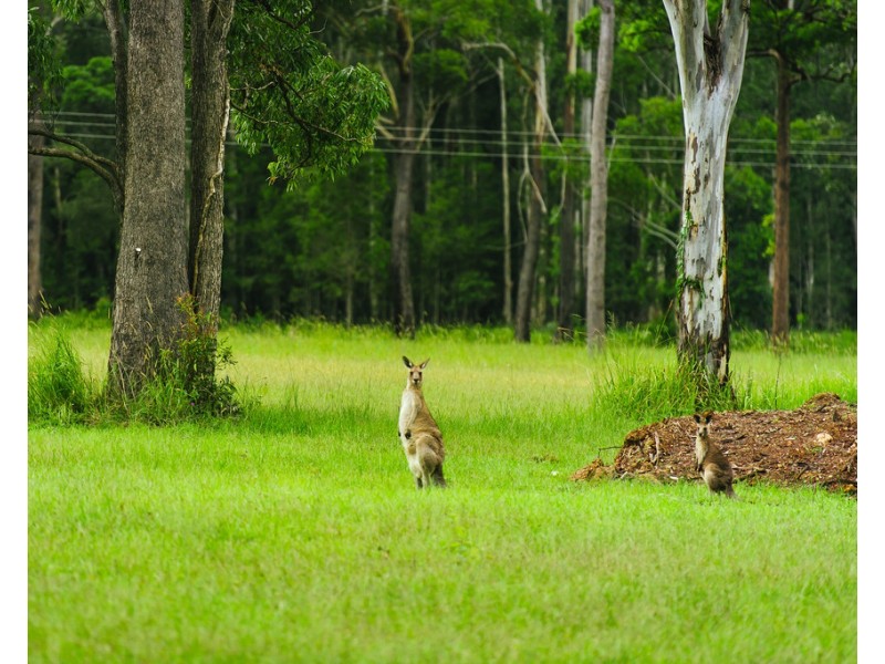 3/165 John Oxley Drive, Port Macquarie NSW 2444