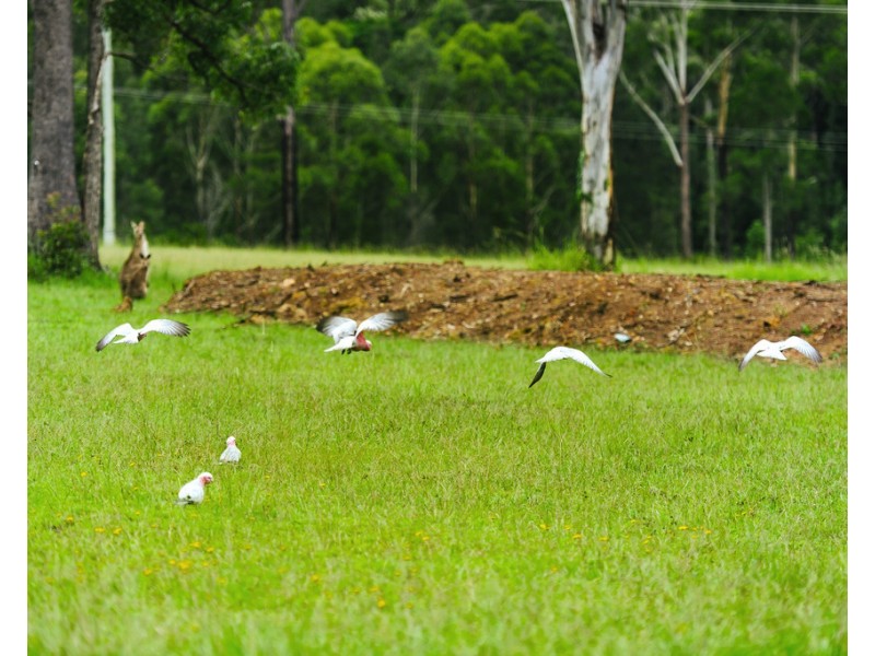 3/165 John Oxley Drive, Port Macquarie NSW 2444
