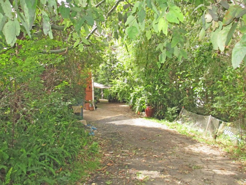 38 Bellevue Drive, Port Macquarie NSW 2444