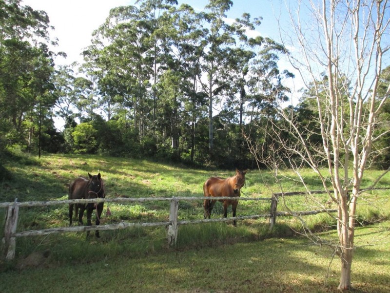 404 Cooperabung Drive, Telegraph Point NSW 2441