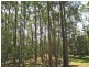 8 The Grange, Port Macquarie NSW 2444