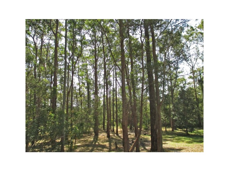 8 The Grange, Port Macquarie NSW 2444