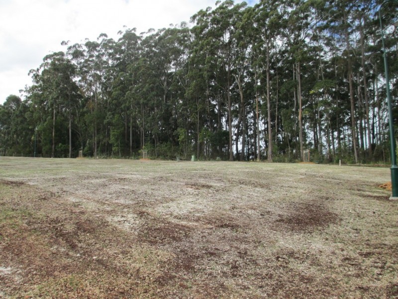 17 Usher Street, Port Macquarie NSW 2444