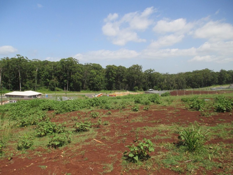 Lot 216 Howell Avenue, Port Macquarie NSW 2444