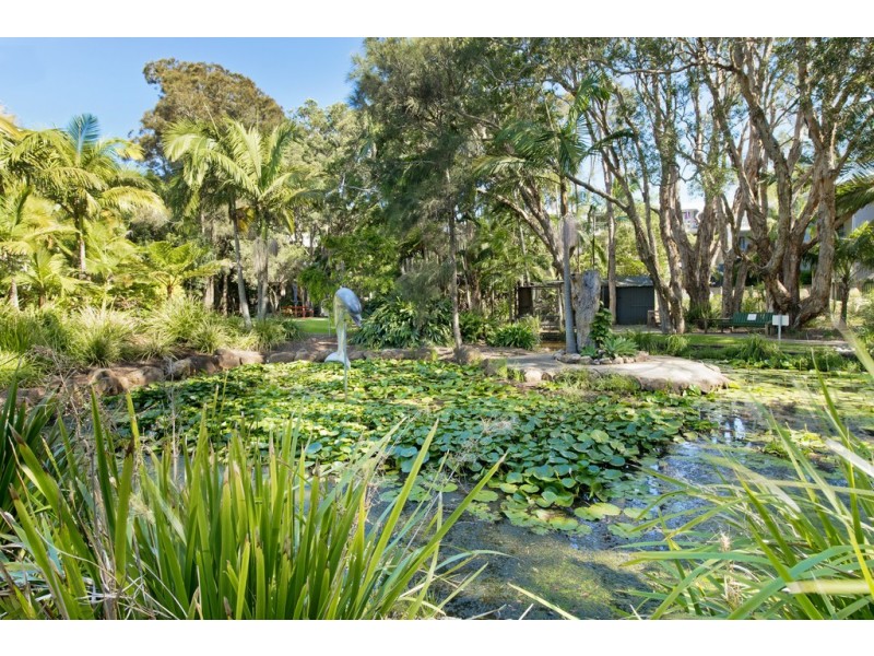 105/68 Pacific Drive, Port Macquarie NSW 2444