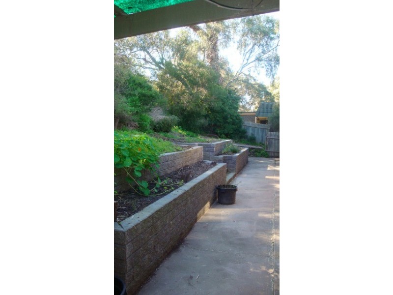 23 Hartley Street, Flagstaff Hill SA 5159