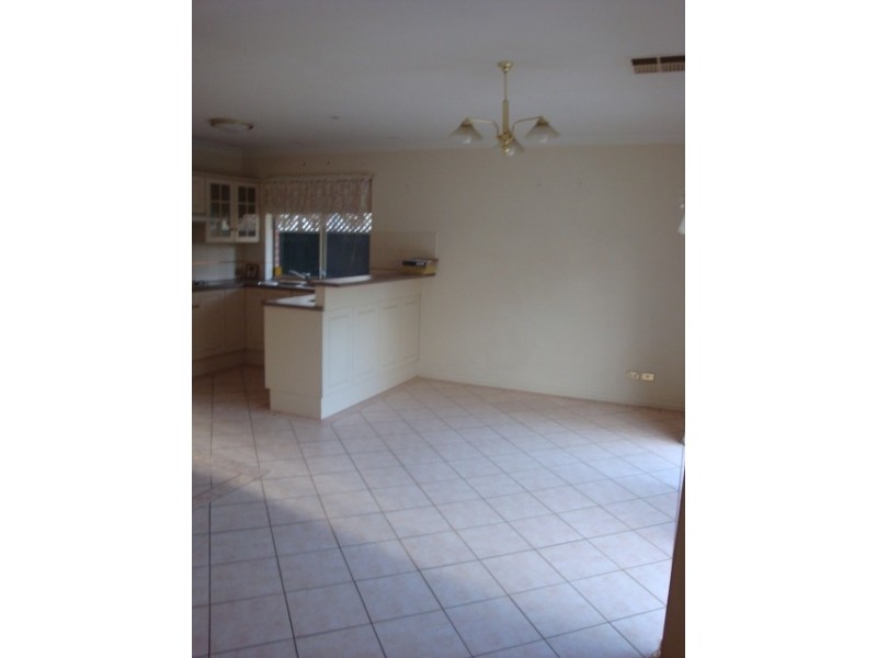 11 Arlington Terrace, West Hindmarsh SA 5007