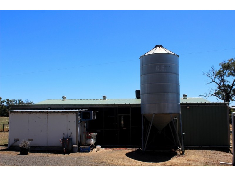 85 DIGGINGS ROAD, Willowmavin VIC 3764