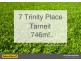 7  Trinity Place, Tarneit VIC 3029