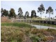 5 Lancewood Road, Wyndham Vale VIC 3024