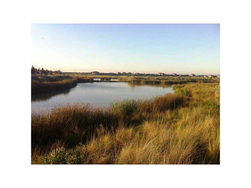 77 Willowgreen Way, Point Cook VIC 3030