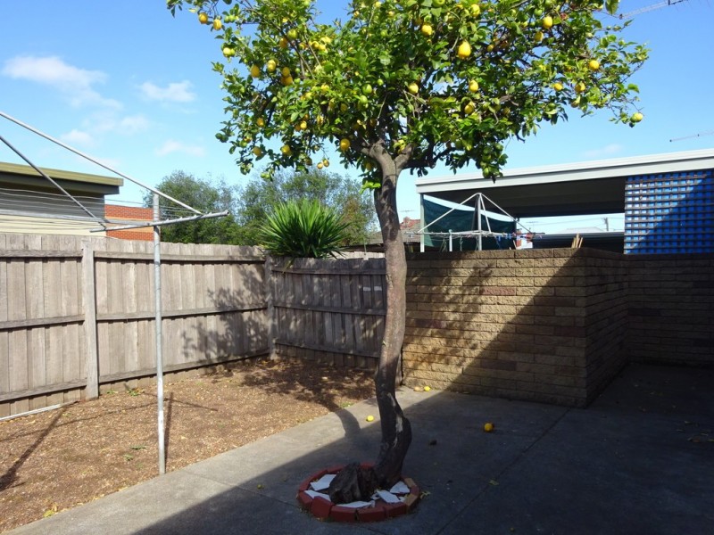 3/17 Synnot Street, Werribee VIC 3030