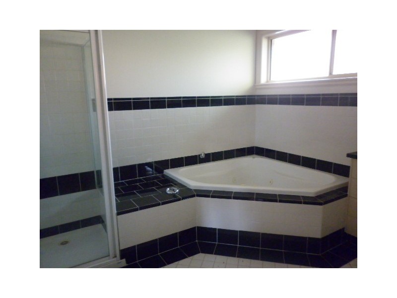 66 Wintersun Road, Berwick VIC 3806