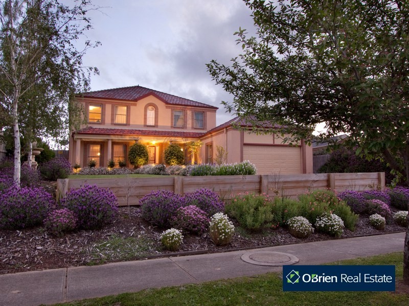 19 Orchid Street, Narre Warren South VIC 3805