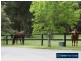 1645 Wellington Road, Belgrave South VIC 3160