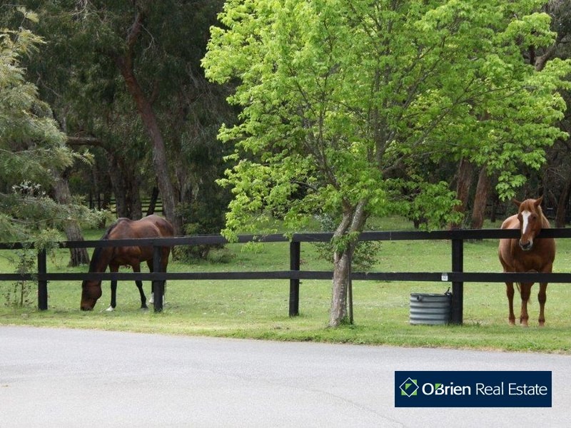 1645 Wellington Road, Belgrave South VIC 3160