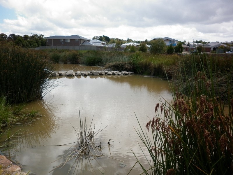 136 Settlers Run,, Cranbourne South VIC 3977