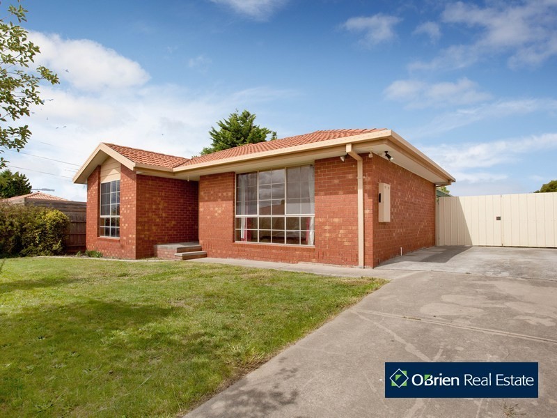 19 Cardmaon Drive, Hallam VIC 3803