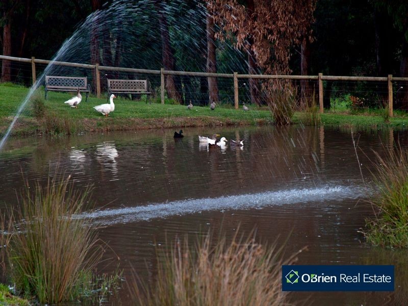370  Beaconsfield – Emerald, Guys Hill VIC 3807
