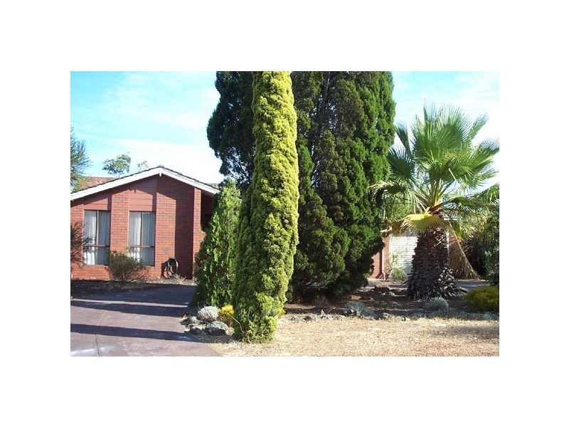 205 Riseley Street, Booragoon WA 6154