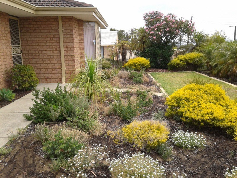 12 Quickly Crescent, Hamilton Hill WA 6163