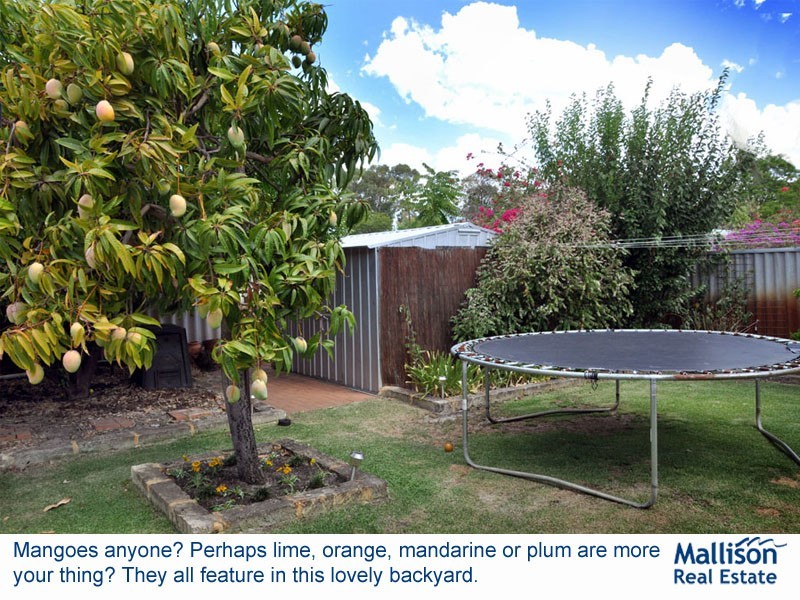 52 Pitt Street, St James WA 6102