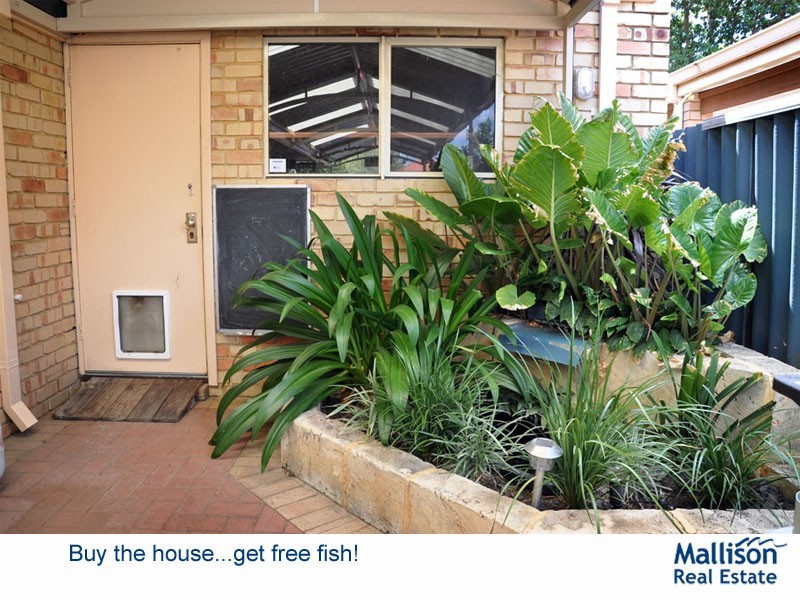 52 Pitt Street, St James WA 6102