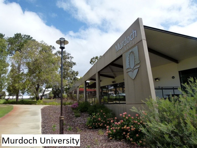 Suite 4, 73 Calley Drive (Cnr South Street), Leeming WA 6149