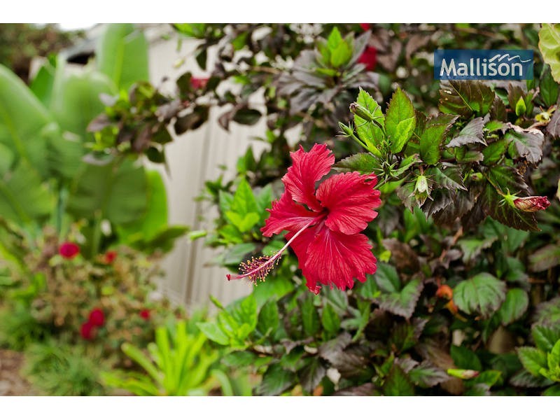 1/6 Hopgood Street, Melville WA 6156