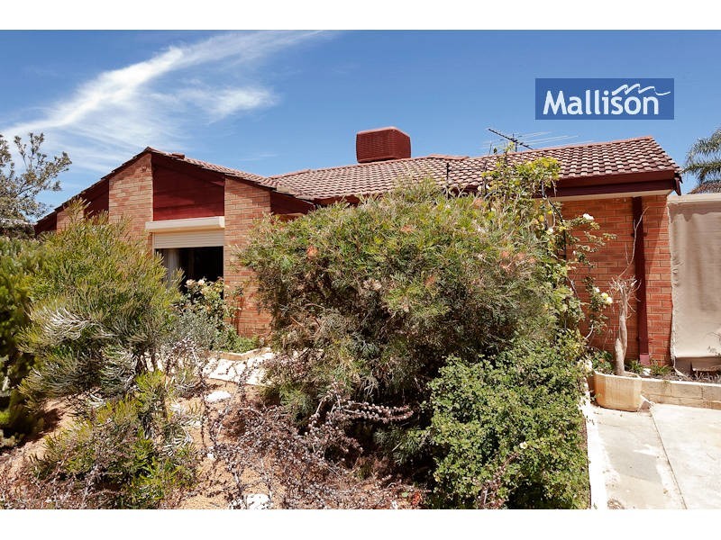 155 Alcock Street, Maddington WA 6109