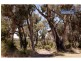 16 Timberlane Loop, Cooloongup WA 6168