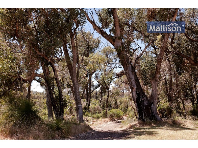 16 Timberlane Loop, Cooloongup WA 6168