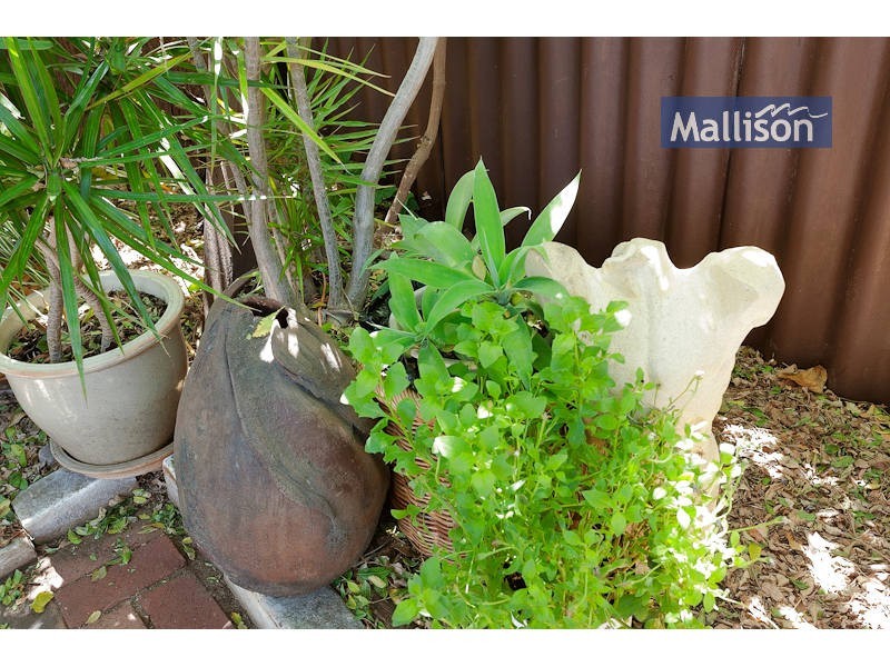 60 Fanstone Avenue, Beeliar WA 6164