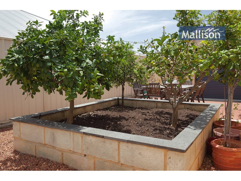 8 Namoi Street, Hammond Park WA 6164