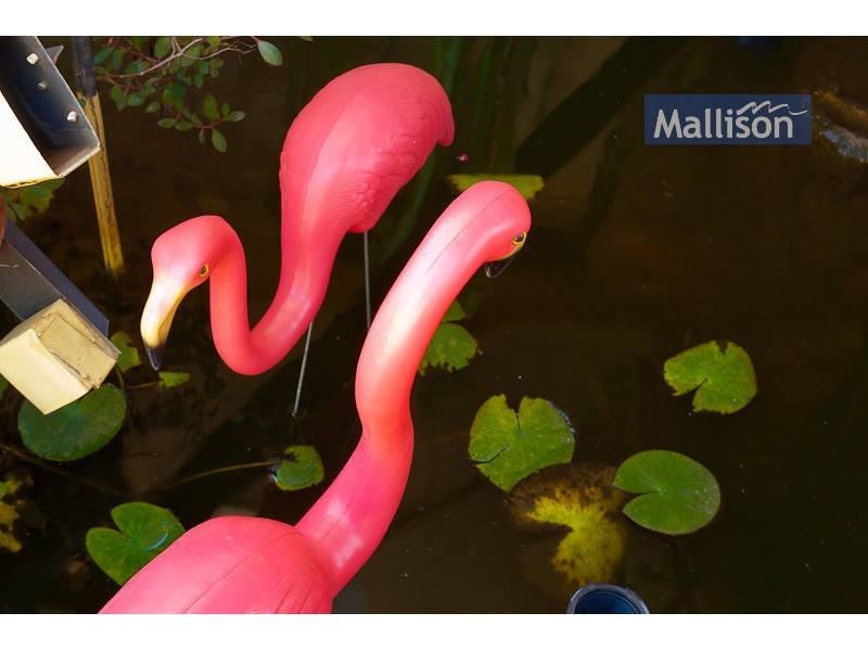 2 Merrifield Circle, Leeming WA 6149