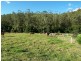 Delaneys Creek QLD 4514