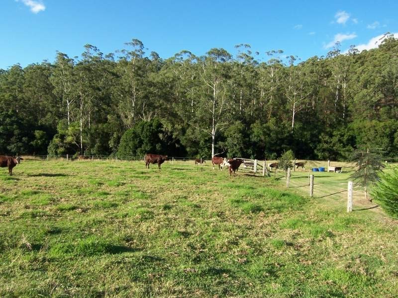 Delaneys Creek QLD 4514