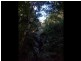 Delaneys Creek QLD 4514