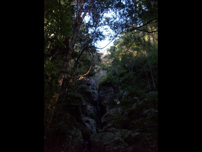 Delaneys Creek QLD 4514