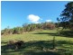 Delaneys Creek QLD 4514