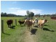 Woodford QLD 4514