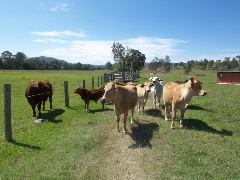 Woodford QLD 4514
